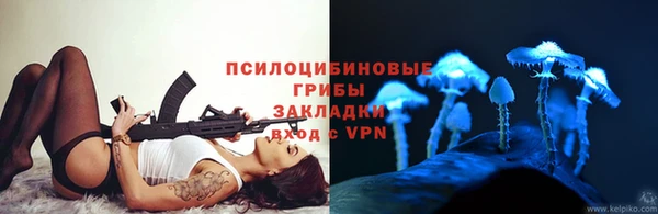 мдпв Няндома