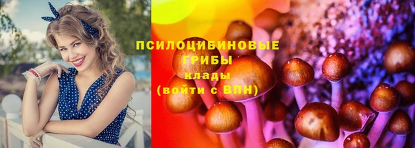 крисы Нязепетровск