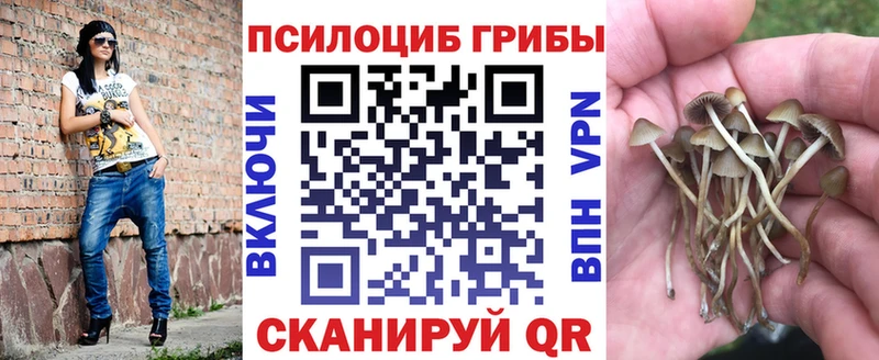 Галлюциногенные грибы MAGIC MUSHROOMS  цены наркотик  Советский 