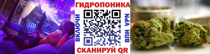 Бошки Шишки ГИДРОПОН  Советский 